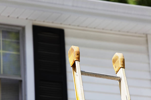 Best Siding Removal and Disposal  in Winthrop, IA